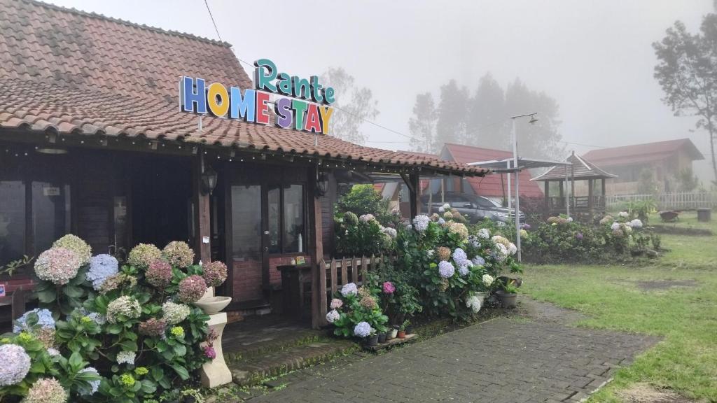 Zahrada ubytování Rante Ijen Cafe & Homestay