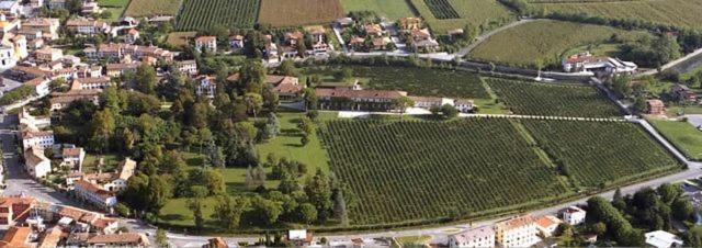 Resort Brandolini Rota في Cordignano: اطلالة جوية على قرية فيها ميدان كروم