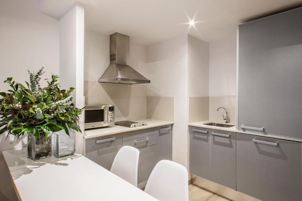 Kuchyňa alebo kuchynka v ubytovaní Barcelona Apartment Aramunt