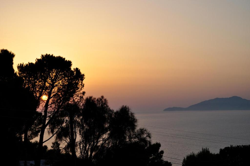 a sunset over the water with a tree in the foreground at B&B Il Sogno in Anacapri