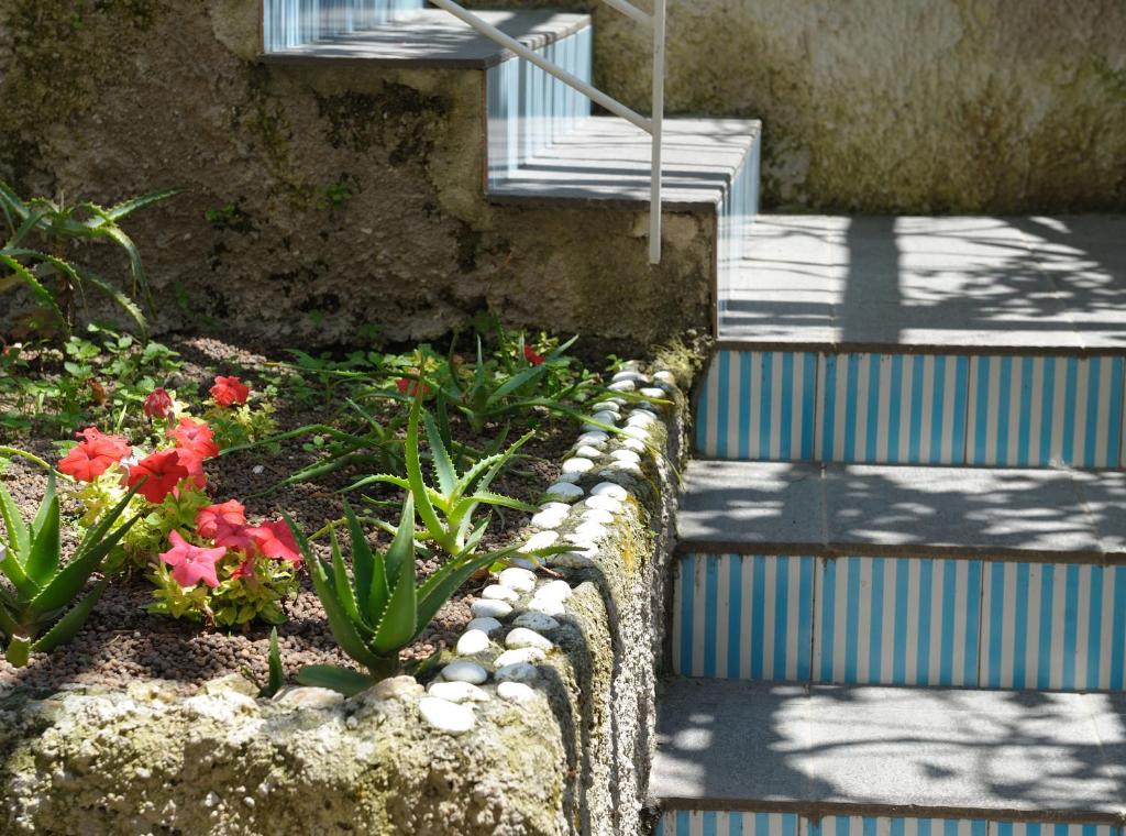 Zahrada ubytování Residence La Dolce Vita