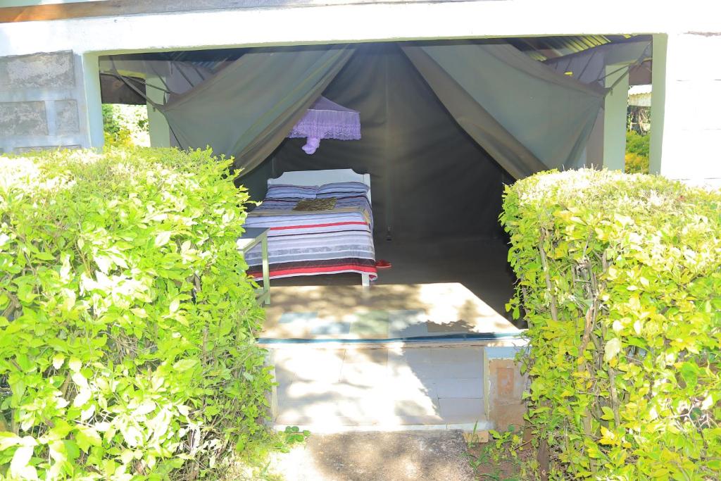 Zahrada ubytování Rhino Tourist Camp