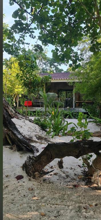 a tree branch laying on the ground in front of a house at Baan Ya-Nhom in Ko Sukon