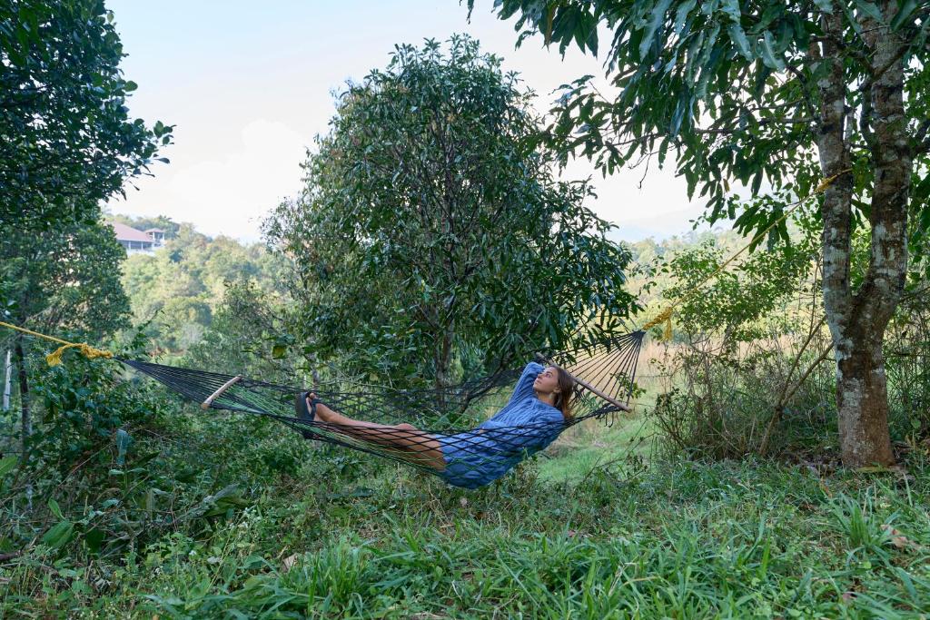 Hosté ubytování Velvet Revive Munnar