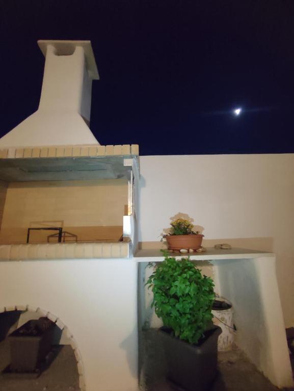 a model of a building with two plants in a tank at Sifnaiou Apartment 2 in Parasporos