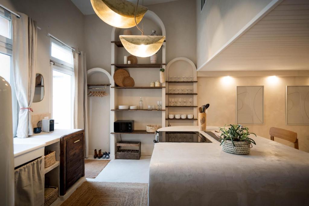 una cucina con una grande isola in una stanza di La Tête Penchée - Maison Duplex 2 Chambres et Jacuzzi a Deûlemont