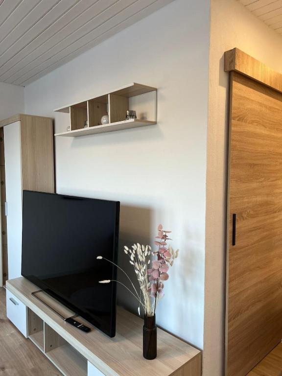 TV a/nebo společenská místnost v ubytování Kleine Wohlfühloase
