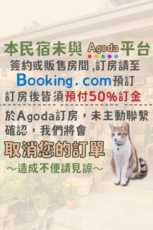 南庄橄欖樹民宿評價、童話氛圍、貓咪互動、螢火蟲體驗、房價資訊 – 童話森林風格 - 照片 9