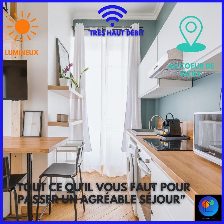 une cuisine avec un évier et une cuisinière dans l'établissement Studio Vichy célestin Villa Marie Celine, à Vichy