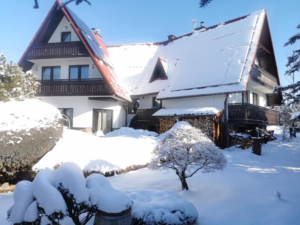 Το Apartamenty-Wynajem pokoi Zbigniew Tylka τον χειμώνα