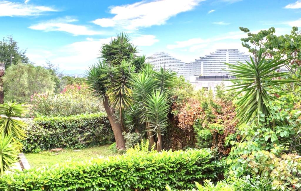 un jardin avec des palmiers et des buissons en face d'un bâtiment dans l'établissement Villeneuve studio, à Villeneuve-Loubet