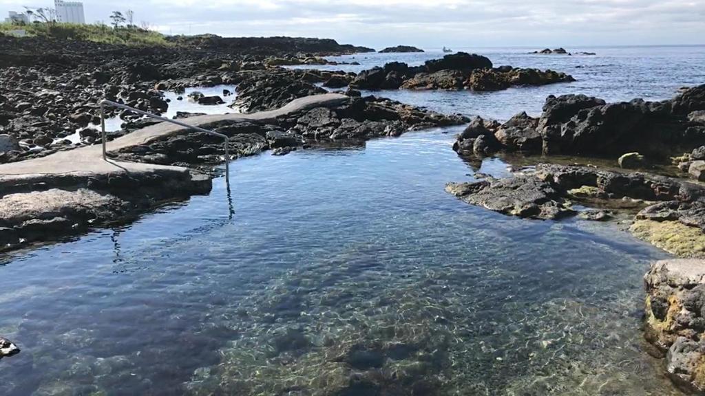 a rope swing in the water on a rocky beach at Casa do Cruzeiro in Lagoa