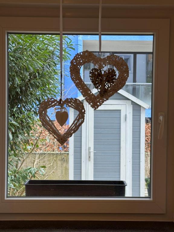 City Apartments am Rhein - 1