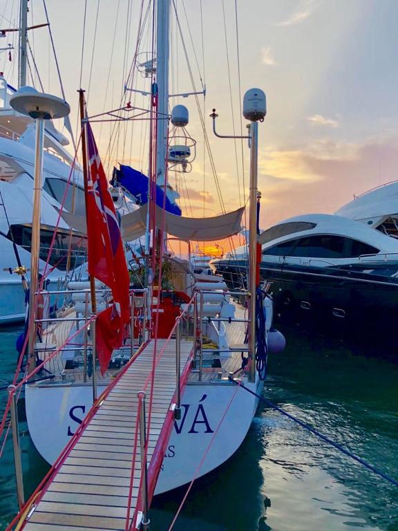 un groupe de bateaux amarrés dans un port de plaisance dans l'établissement proche au Palais, à Cannes