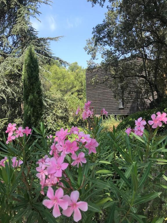 un jardin avec des fleurs roses en face d'une maison dans l'établissement Maison en bord de garrigue, à Villeneuve-lès-Avignon