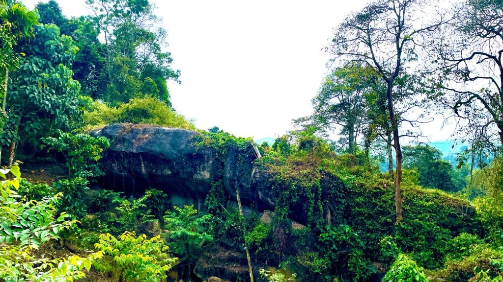 Paesaggio naturale nelle vicinanze della stanza in casa privata