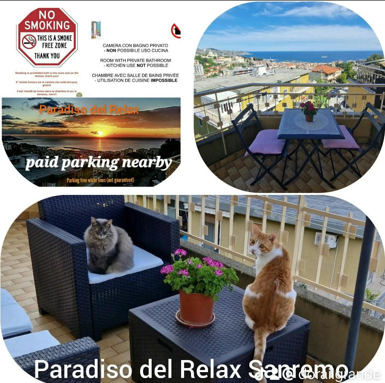 Fotografia z galérie ubytovania Il Paradiso del Relax private room with bathroom Parking v Sanreme