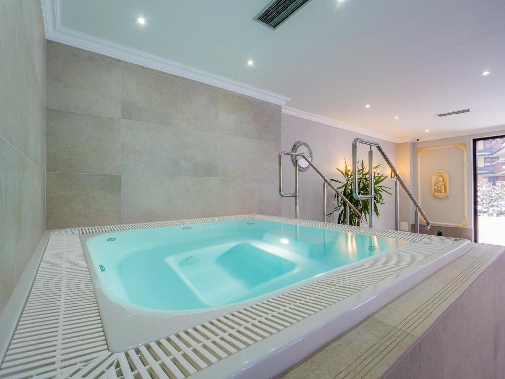 Hotel Paryski Art & Business Zakopane - Basen Jacuzzi Sauna Malpi Gaj - Resim 21