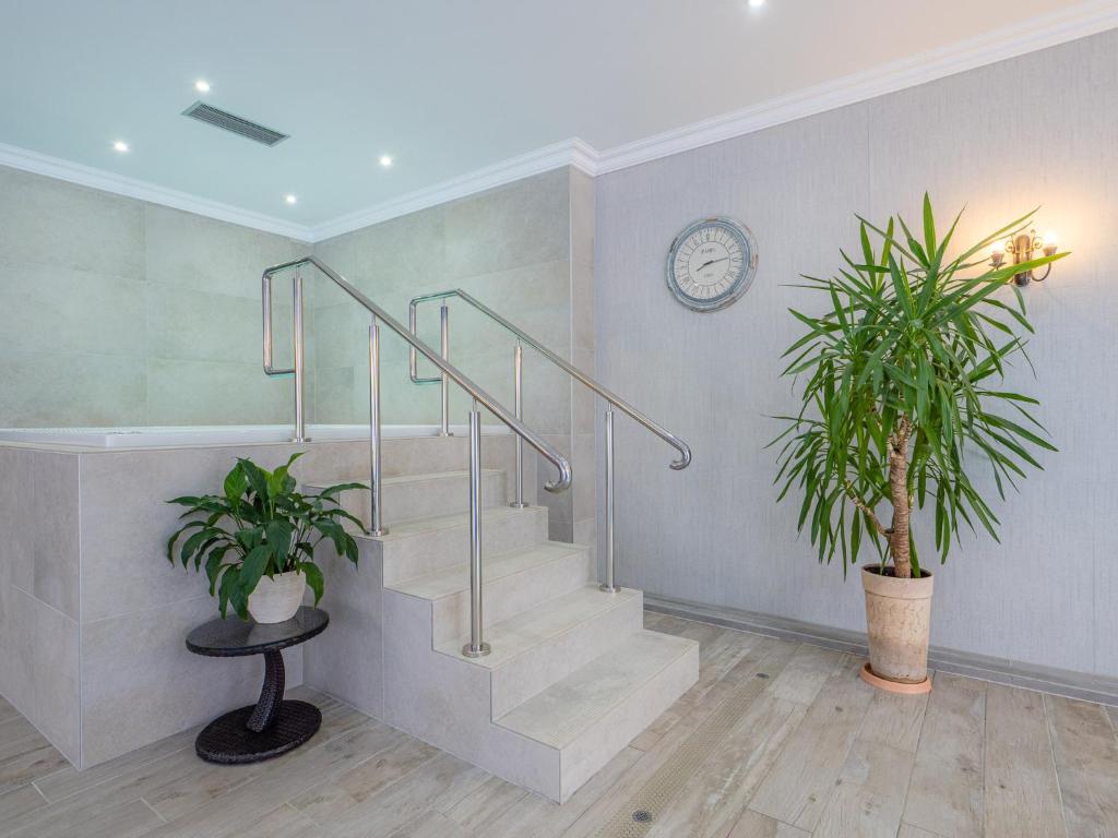 Hotel Paryski Art & Business Zakopane - Basen Jacuzzi Sauna Malpi Gaj - Resim 12