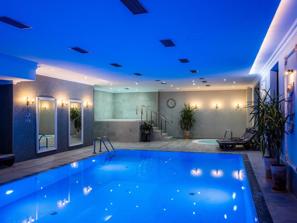 Hotel Paryski Art & Business Zakopane - Basen Jacuzzi Sauna Malpi Gaj - Resim 29