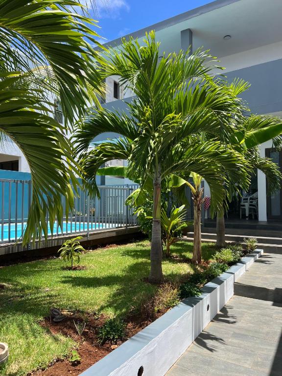 a row of palm trees in front of a building at Villa les vues D'Albion in Albion