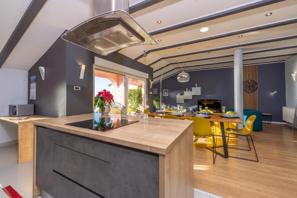 Kuchyň nebo kuchyňský kout v ubytování Apartments Hana