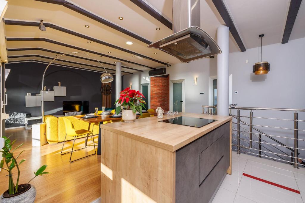Kuchyň nebo kuchyňský kout v ubytování Apartments Hana