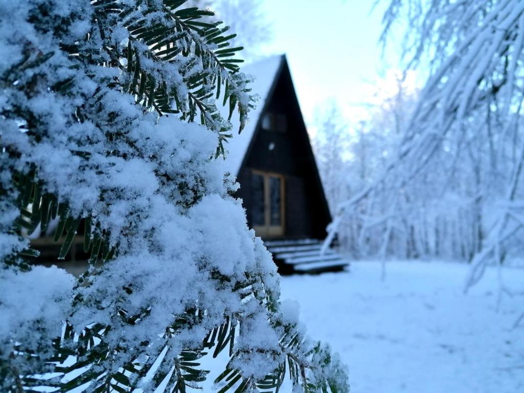 Cottage Koča Oaza Preske durante l'inverno