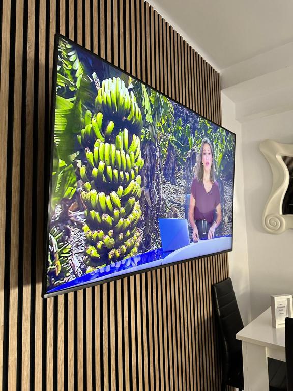 Televízia a/alebo spoločenská miestnosť v ubytovaní Alderete DELUXE - 3 Dormitorios