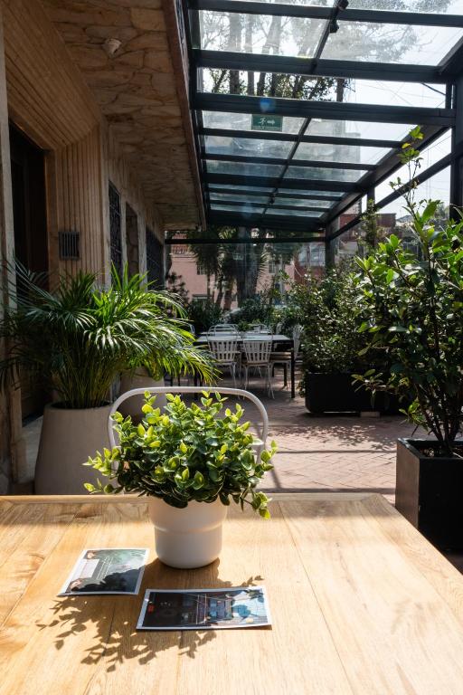 Fotografie z fotogalerie ubytování 5Q House Quinta Camacho v destinaci Bogotá