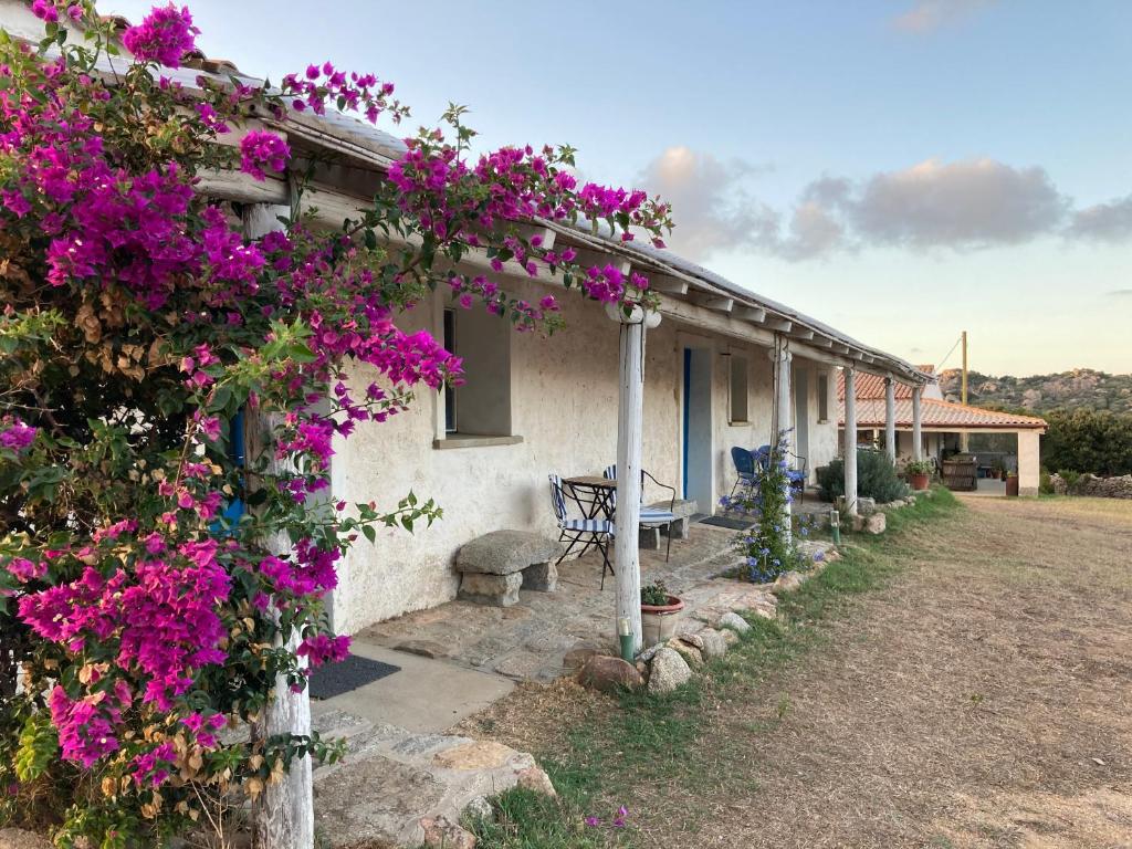Vườn quanh Agriturismo La Tana di Lu Maccioni