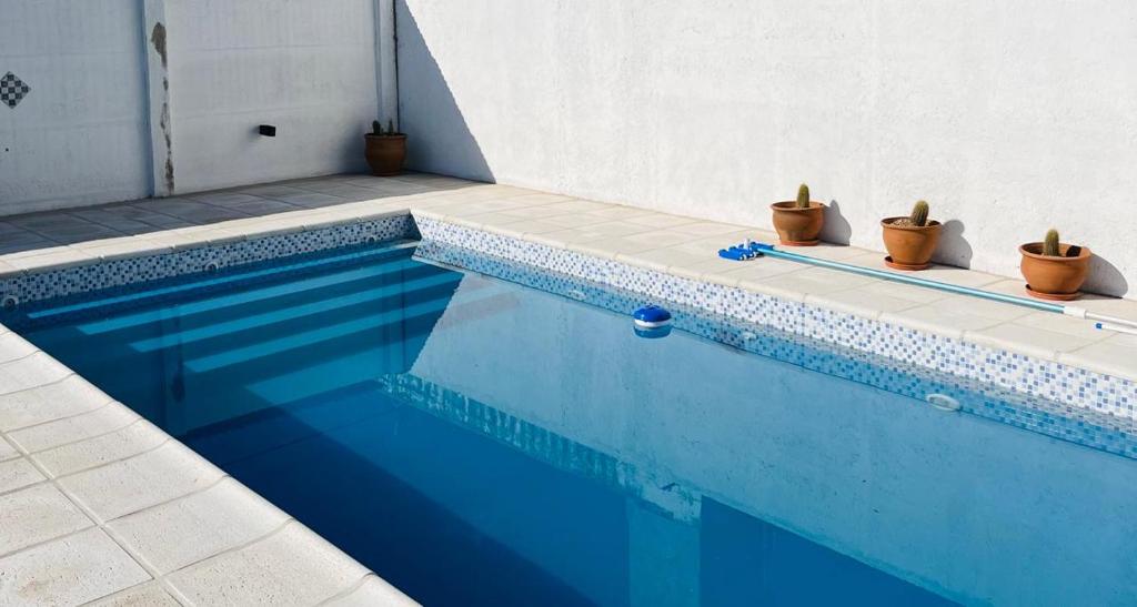 a blue swimming pool with cactuses and potted plants at Villanto apart Solo Adultos in Mina Clavero