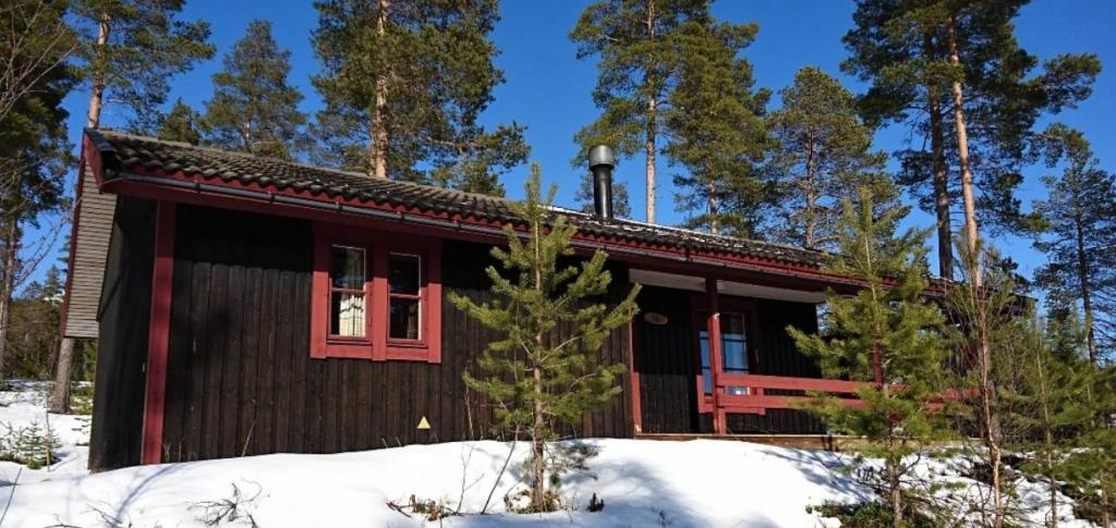 Фотография из галереи Sauna | Wi-Fi | Terrace | Wood stove | Cable TV в городе Лофсдален