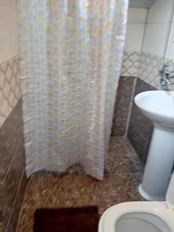 Koupelna v ubytování Зелений Рай