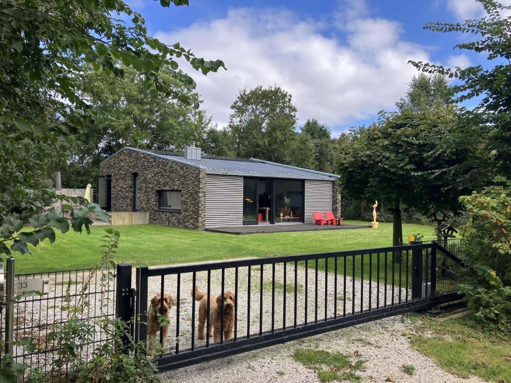 a dog standing behind a gate in front of a house at Holiday Home Villa Vrijheid by Interhome in Hollum