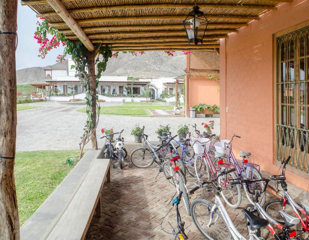 Jízda na kole v ubytování Hotel Viñas Queirolo nebo okolí