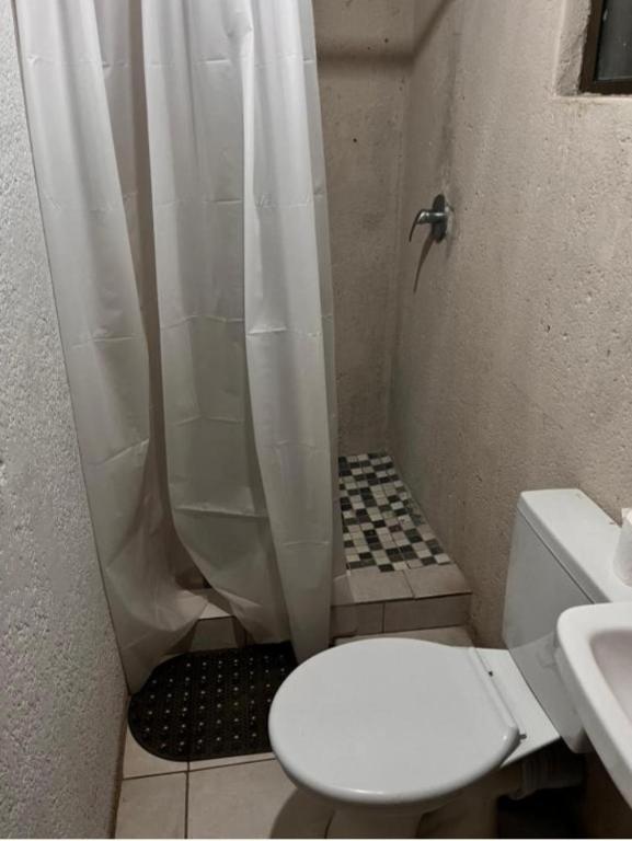 a bathroom with a shower with a toilet and a sink at Begin Guesthouse in Ermelo