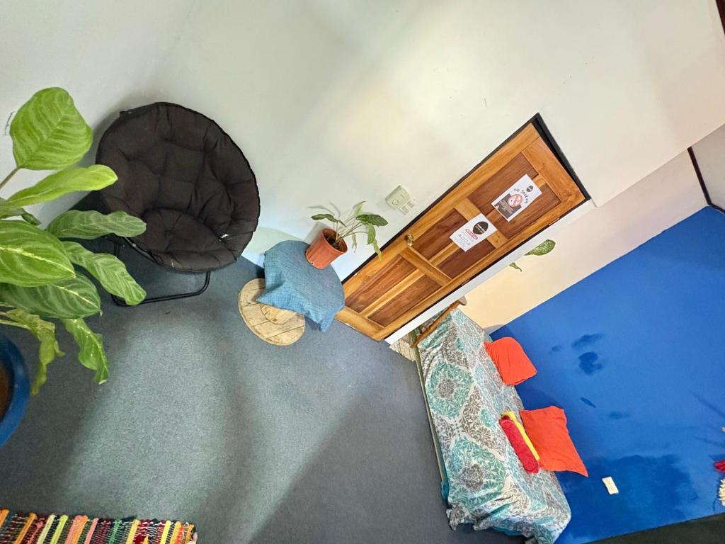 Posezení v ubytování Passifloras Hostel