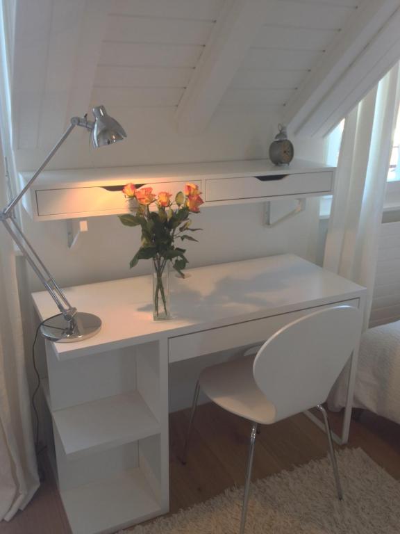 Fotografie z fotogalerie ubytování Carouge Loft Apartment v Ženevě