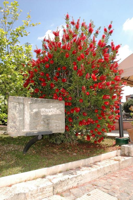Zahrada ubytování Hotel Arco Di Travertino