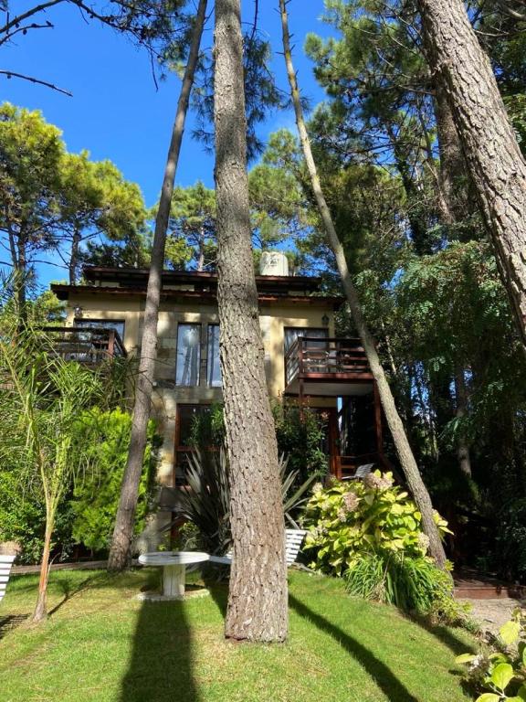 Cabañas y Apart Utopia