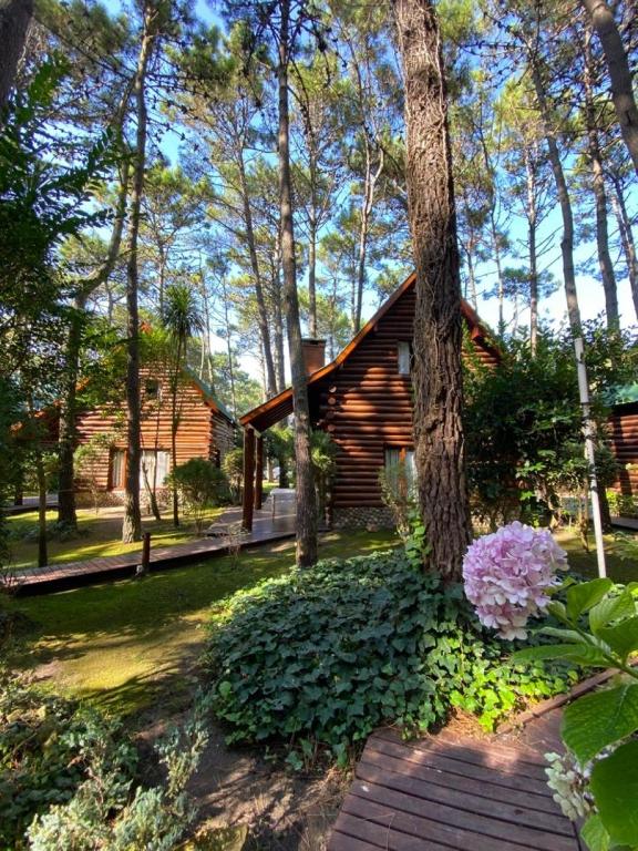 Cabañas y Apart Utopia