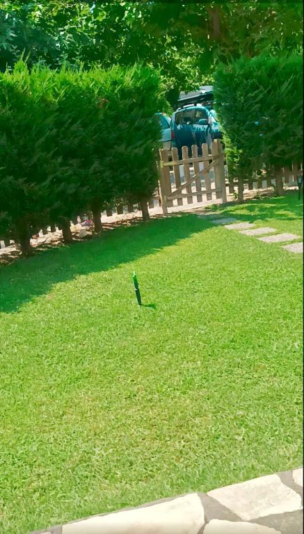 A garden outside khouse - Personal Paradise