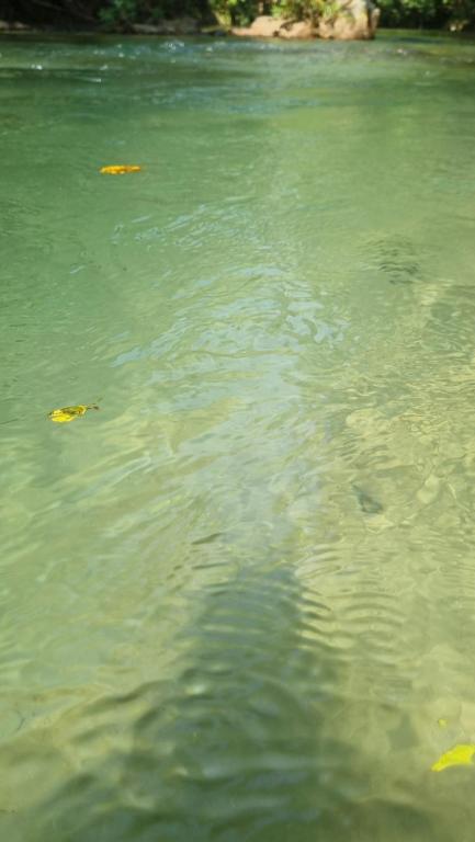 キャンプ場の近くで見られる自然の景観