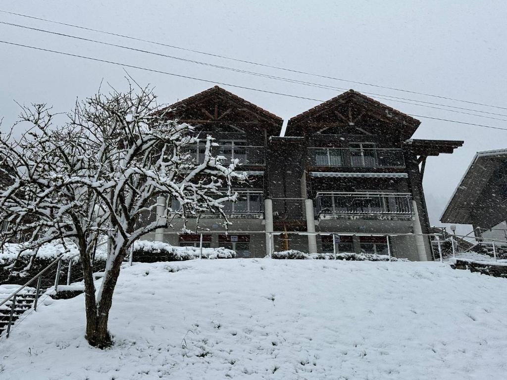 a snow covered building with a tree in front of it at LakeSide Villa - 18 in Niederried