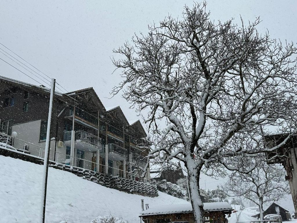 a tree covered in snow in front of a building at LakeSide Villa - 18 in Niederried