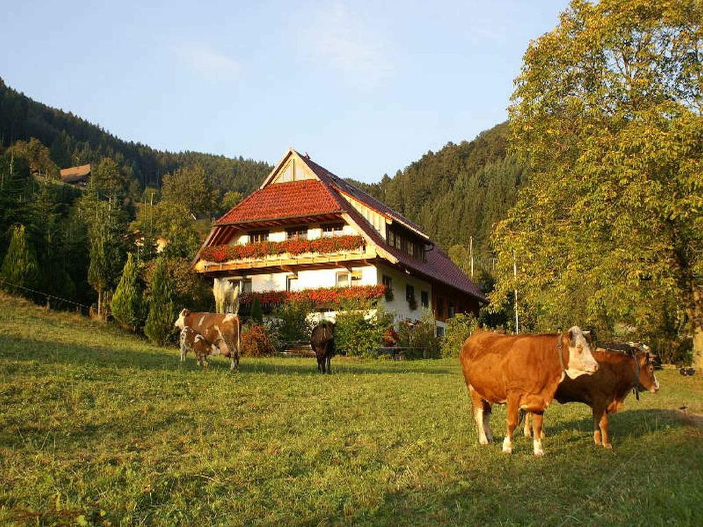 eine Gruppe von Kühen auf einem Feld vor einem Haus in der Unterkunft Unterer Gurethshof in Zell am Harmersbach