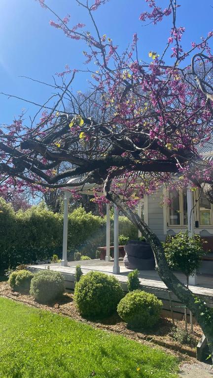 Picture Perfect in the heart of the Village - Resim 22