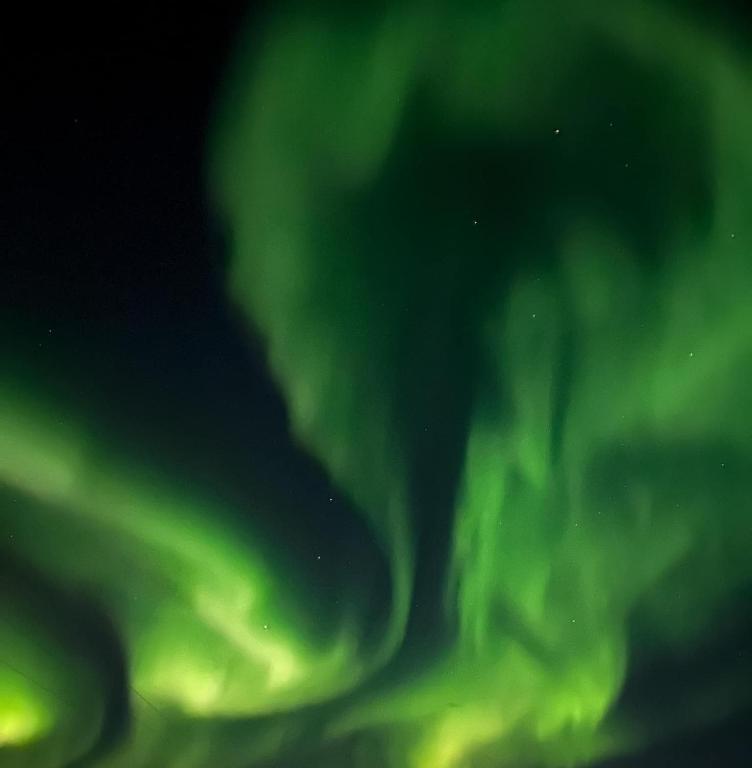 an image of the northern lights in the sky at The Old Printing House H0101 - 4 bedroom apartment in Tromsø