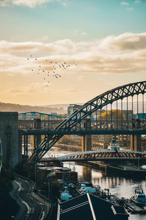 a bridge over a river with birds flying over it at Large Central Apartment in Central Station